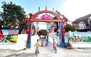 Một khu dân cư ở Phú Thọ đón nhận quyết định công nhận đạt chuẩn nông thôn mới kiểu mẫu