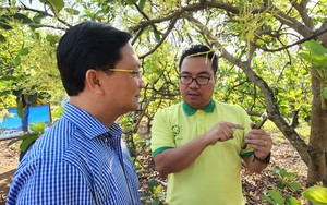 Một HTX ở Bình Phước có toàn bộ thành viên tham gia chuyển đổi số trong sản xuất nông nghiệp