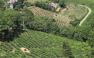 Mường Khương: Phát triển nông nghiệp gắn với du lịch 