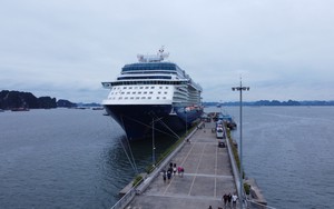Siêu du thuyền đưa hơn 2.600 khách Âu, Mỹ cập Cảng tàu khách quốc tế Hạ Long