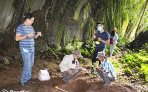Di sản hang động núi lửa Tân Phú - Định Quán ở Đồng Nai