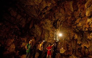 Một hang động rộng hơn 3.500m2 ở Ninh Bình, tạo hóa tự vẽ nên những bức phù điêu kỳ lạ bằng thạch nhũ