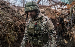 Lính Ukraine hoang mang vật lộn chống lại cuộc xâm nhập của 'đội quân' hàng triệu con chuột 