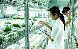 TP.HCM đào tạo nguồn nhân lực khoa học cho nông nghiệp đô thị