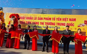 Trung Quốc cần mua 400 tấn tổ yến mỗi năm, cơ hội đưa ngành nuôi yến của Việt Nam thành ngành hàng tỷ đô