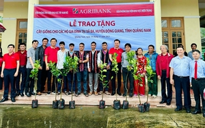 Agribank mở hướng phát triển kinh tế mới cho người dân xã Ba – Quảng Nam