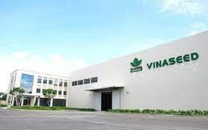 Vinaseed (NSC) điều chỉnh giảm kế hoạch kinh doanh