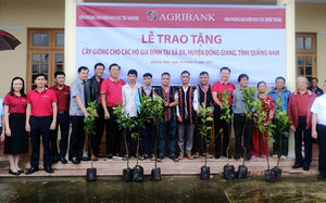 Đoàn Thanh niên Agribank khu vực Tây Nam Bộ trao "sinh kế" cho bà con nhân dân trên địa bàn tỉnh Quảng Nam