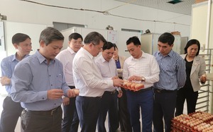 Chủ tịch Hội Nông dân tỉnh Hải Dương khâm phục trước quy mô, công nghệ trồng dưa, nuôi gà của hội viên