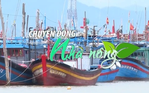 Chuyển động Nhà nông 18/11: Quảng Bình đầu tư gần 350 tỉ xây dựng khu neo đậu kết hợp cảng cá