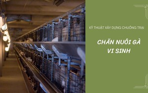 SỔ TAY NHÀ NÔNG: Kỹ thuật xây dựng chuồng trại nuôi gà vi sinh