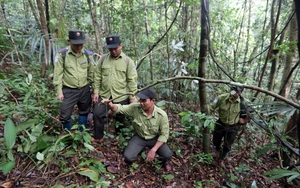 Bất ngờ phát lộ gành đá đĩa ở một xã miền núi Quảng Nam, đẹp hút hồn như gành đá đĩa Phú Yên - Ảnh 4.