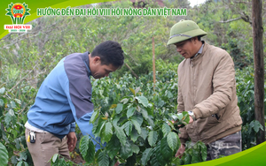 Hướng tới Đại hội VIII Hội Nông dân Việt Nam: Cơ chế đãi ngộ nào cho 92.000 Chi hội trưởng nông dân? (Bài 6)