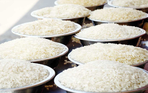 Ấn Độ có thể duy trì lệnh cấm xuất khẩu gạo đến năm 2024, đẩy giá gạo toàn cầu tăng cao