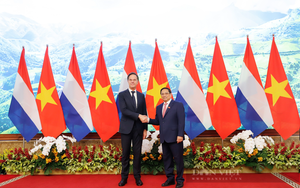 Thủ tướng Hà Lan thăm Việt Nam: Đổi mới sáng tạo là lĩnh vực hợp tác đột phá