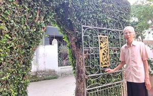 Hai cây cổ thụ &quot;lùn lùn&quot; được tạo dáng thành cổng nhà đẹp như phim ở Thanh Hóa, đó là cây gì?