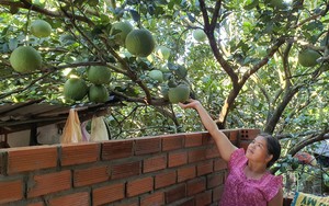 Khánh Vĩnh: Tổng dư nợ các chương trình đạt trên 270,6 tỷ đồng