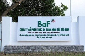 BAF muốn chào bán hơn 68 triệu cổ phiếu, rót 400 tỷ vào kinh doanh nông sản