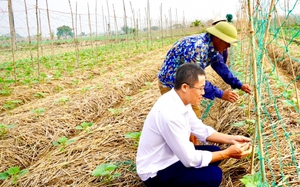 Một hợp tác xã của tỉnh Thái Bình quyết thu 23 tỷ đồng từ vụ sản xuất chính trong năm
