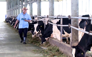 Chuyển đổi số đang giúp gia tăng giá trị ngành chăn nuôi huyện Phú Giáo của Bình Dương