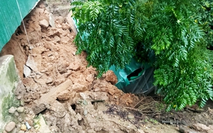 Hà Tĩnh: Xuất hiện hố tử thần 15m2 “nuốt chửng” vườn nhà dân ngay trong đêm