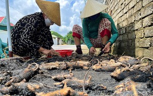 Chợ làng ở Nghệ An chỉ bán &quot;con ăn tàn phá hại&quot; này, giá đắt đỏ thiên hạ vẫn tranh nhau mua