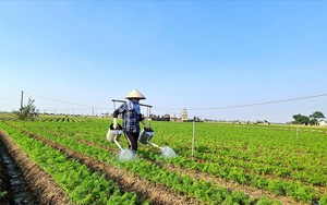 Xuất hiện những mô hình sản xuất cho lãi 'khủng' ở Hải Dương, Bắc Ninh, Nghệ An,... có mô hình thu từ 1,5-3 tỷ/năm