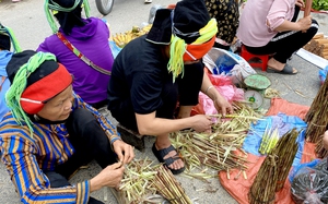 Loại rau rừng hình ngón tay xinh này ở Hà Giang, hễ hái được, chưa ra tới chợ đã hết sạch