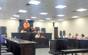 Phạt tù người nói xấu, khiến cựu Chủ nhiệm Đoàn luật sư TP Hà Nội không được ứng cử Đại biểu Quốc hội