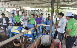 Cán bộ, hội viên nông dân Đà Nẵng tham quan mô hình nuôi trùn quế bảo vệ môi trường