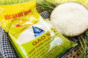 Gạo Việt Nam đạt giải gạo ngon nhất thế giới 2023