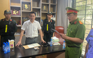 Đồng Nai: Bắt tạm giam Chủ tịch HĐQT Công ty LDG liên quan sai phạm tại dự án khu dân cư Tân Thịnh
