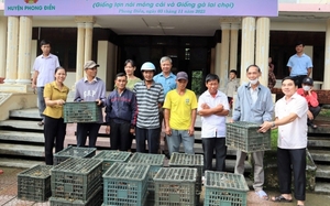 Trao tặng gà giống, lợn giống cho hội viên nông dân nghèo ở Thừa Thiên Huế