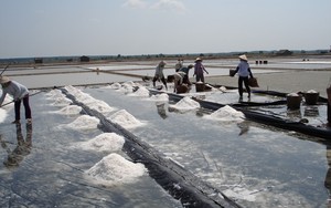 Video: Đổi mới sản xuất, đưa nghề muối Cần Giờ phát triển bền vững