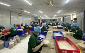 Video: Làng nghề tiêu biểu của TP.HCM sản xuất bánh tráng xuất khẩu sang nước ngoài