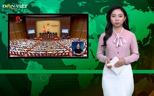 Bản tin Dân Việt Nóng 6/11: Quốc hội bắt đầu &quot;nóng&quot; lên với phiên chất vấn và trả lời chất vấn