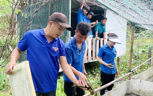 Người nuôi dúi, người nuôi ốc bươu đen, ba anh thanh niên Bình Phước làm giàu không khó