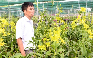 Video: Hiệu quả đào tạo nghề cho nông dân trên địa bàn huyện Bình Chánh