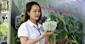 Làm nông nghiệp tại TP.HCM thời gian tới sẽ được hỗ trợ lãi vay như thế nào?      