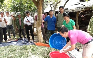 Sơn La: Hỗ trợ hội viên nông dân vùng cao vươn lên làm giàu