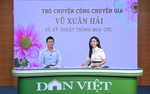 GÓC CHUYÊN GIA: Làm giàn giúp hoa cúc như thế nào để cho cành đẹp, bông to?