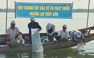 Kết quả điều tra, đánh giá nguồn lợi thủy sản: Cơ sở khoa học góp phần quản lý ngành thủy sản bền vững