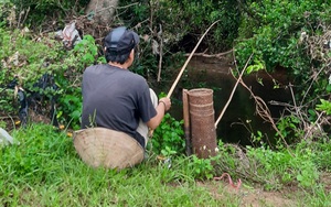 Kể chuyện làng: Mùa câu cá lấu sông Trầu