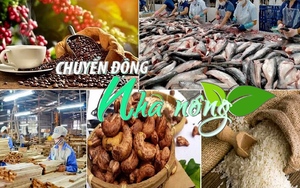 Chuyển động Nhà nông 1/12: Xuất siêu nông, lâm, thủy sản tăng 33,7% so với cùng kỳ