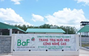 BAF Việt Nam thành lập công ty con mảng logistic, vốn điều lệ 20 tỷ đồng