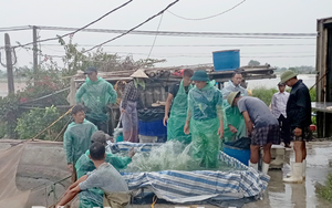 Nơi này ở Nam Định, dân nuôi thứ cá gì "bơi như tàu ngầm dưới ao", bắt cả ngàn tấn, lãi hơn cấy lúa?