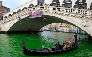Kênh đào Venice biến thành màu "xanh lét" vì đâu?