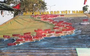 Bản đồ lúa gạo Việt Nam đặt tại kênh Xáng Xà No ở Hậu Giang được xác lập kỷ lục