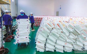 Toàn cầu lên cơn sốt, Việt Nam lần đầu tiên thu 4,6 tỷ USD từ xuất khẩu gạo