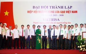 Ông Bùi Bá Bổng làm Chủ tịch Hiệp hội Ngành hàng lúa gạo Việt Nam
